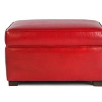 Rectangular footrest red in front view