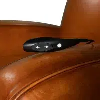 Relax Grand Carré havana leather club chair, zoom armrest and remote control