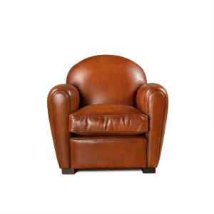 Epicure leather club chair in front view