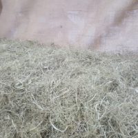 Vegetal horsehair, a natural materia