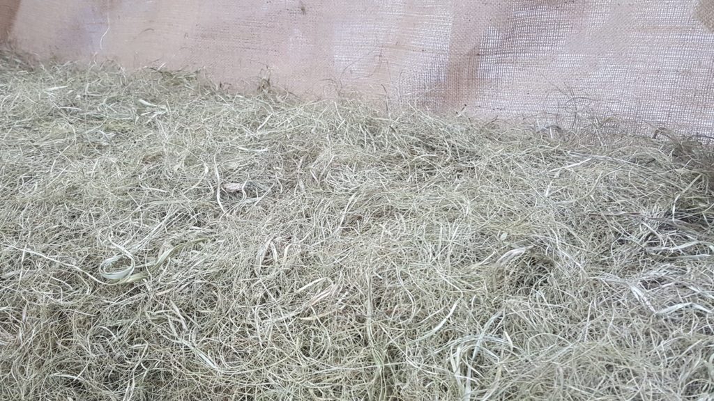 Close-up of vegetable horsehair used to upholster our club chairs