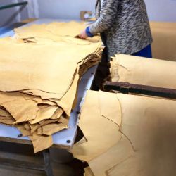 Cutting vegetable tanned leather